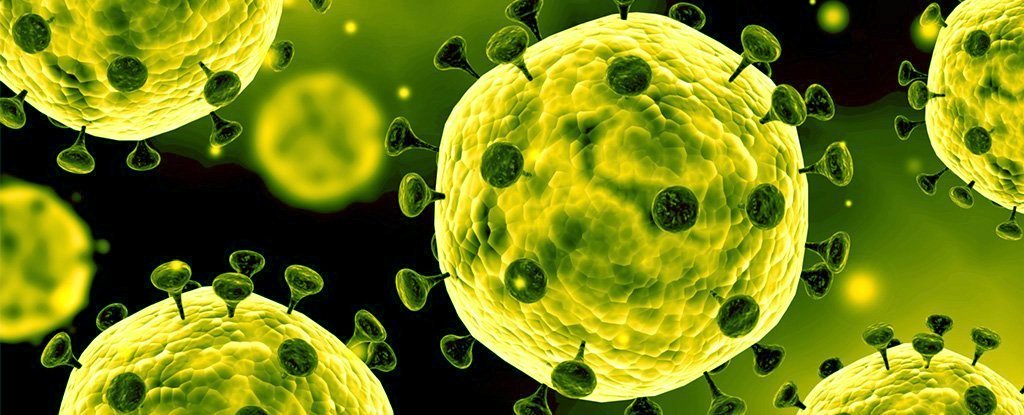 What is Corona Virus ? What are the Symptoms?